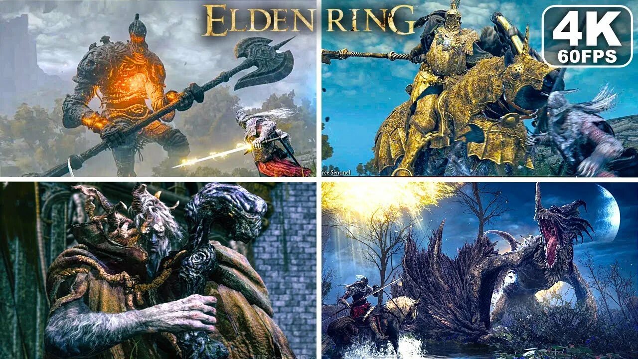 Элдон ринг. Elden ring dlc all bosses. Dlc elder ring. Elden ring fromsoftware. Элден ринг горшок на голову.