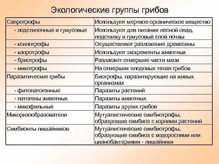 Экологические группы грибов. Экологические группы грибов таблица. Экологические группы грибов с примерами. Экологические группы грибов 6 класс.