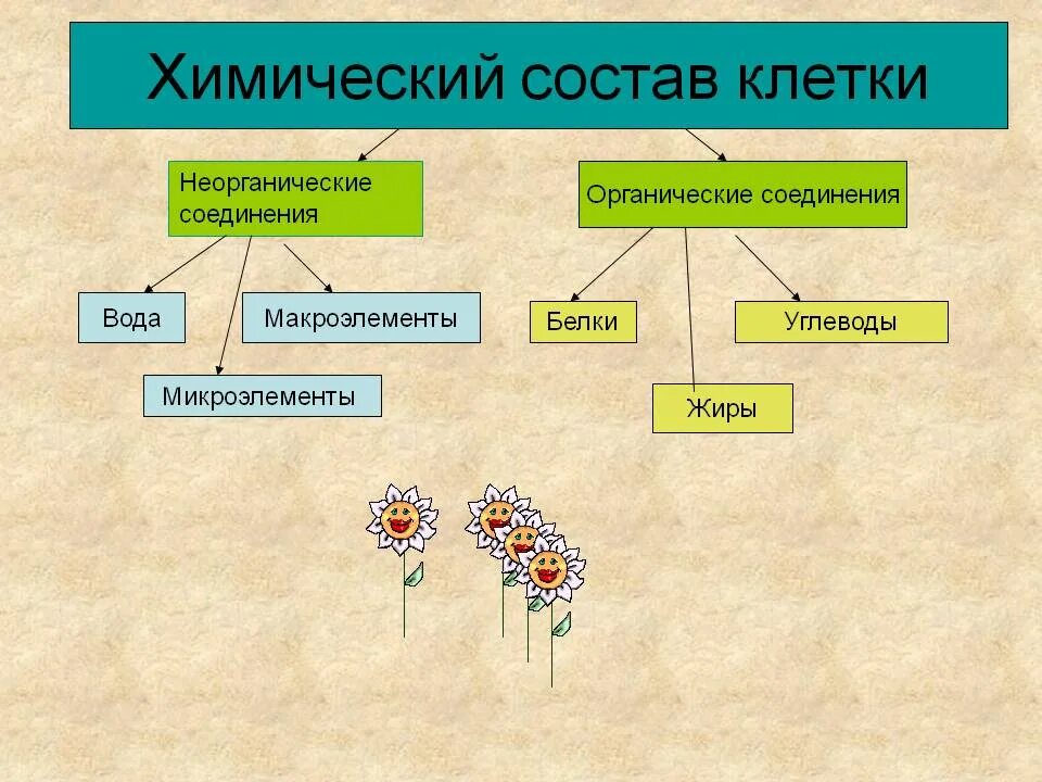 Какие вещества образуются в живых организмах. Компоненты химического состава клетки. Химический состав клетки схема. Химический состав живой клетки схема. Химический состав клетки схема 5 класс.