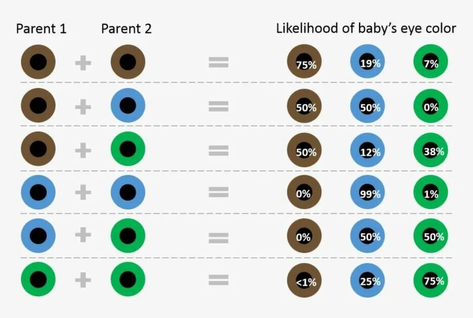 Как узнать какой цвет глаз. Классификация цвета глаз. Распространенный цвет глаз. Табличка цвета глаз. Самые распространенные цвета глаз.