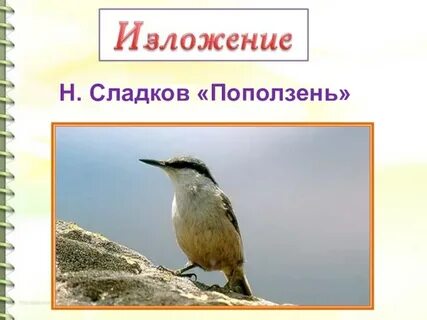 Изложение упр 180