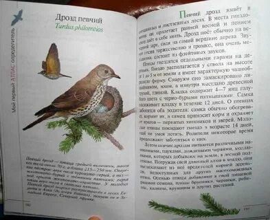 Звезды атлас определитель 3 класс окружающий мир