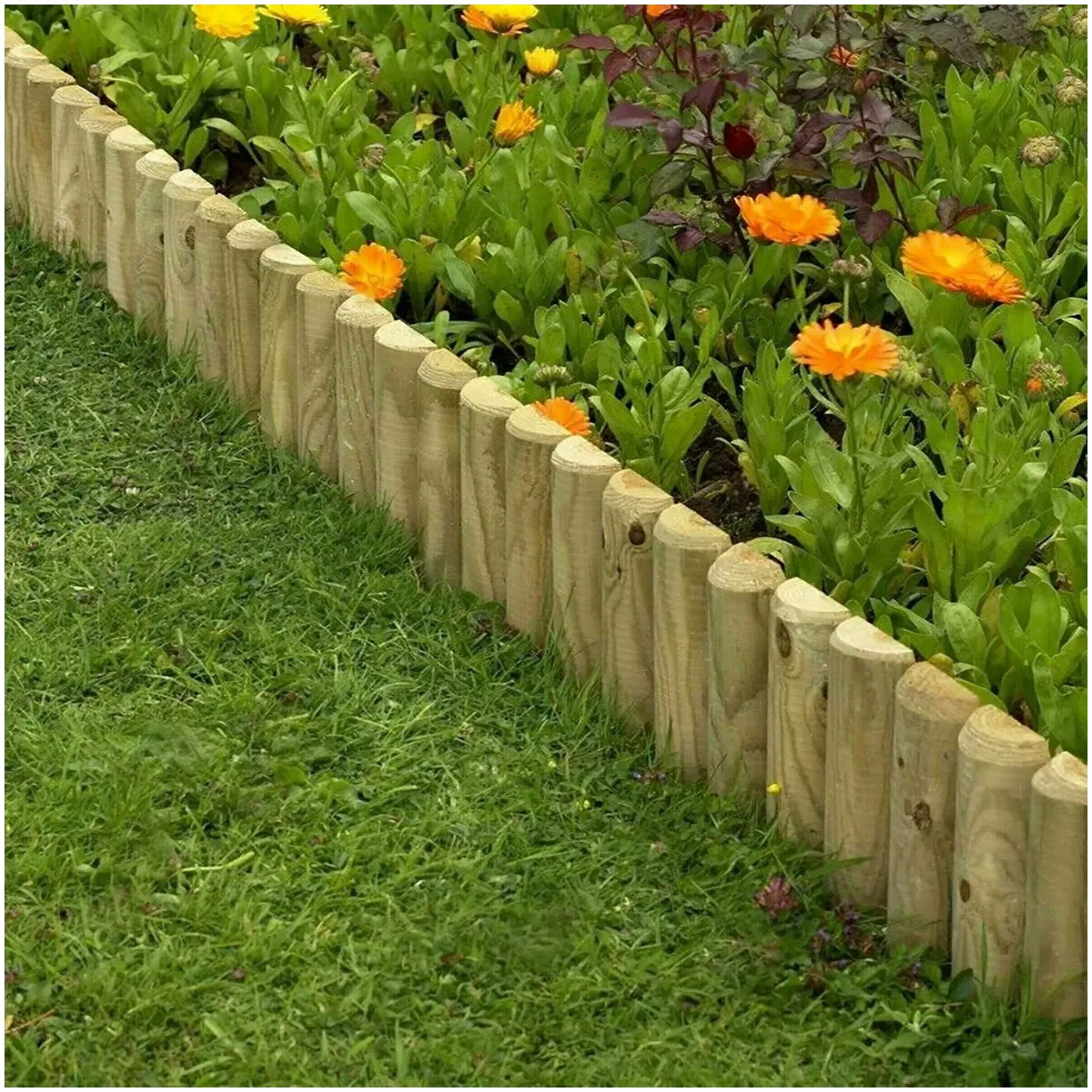 рабатка тунберга. бордюр для клумбы из дерева. цинии в рабатке. красивые бордюры для клумб.