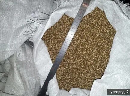 Опт зеленого зерна