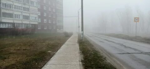 Пал туман