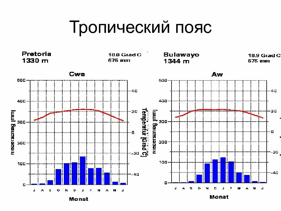 Г.П тропического пояса. Тропический пояс характеристика. Тропический пояс температура. Тропический пояса на графике.