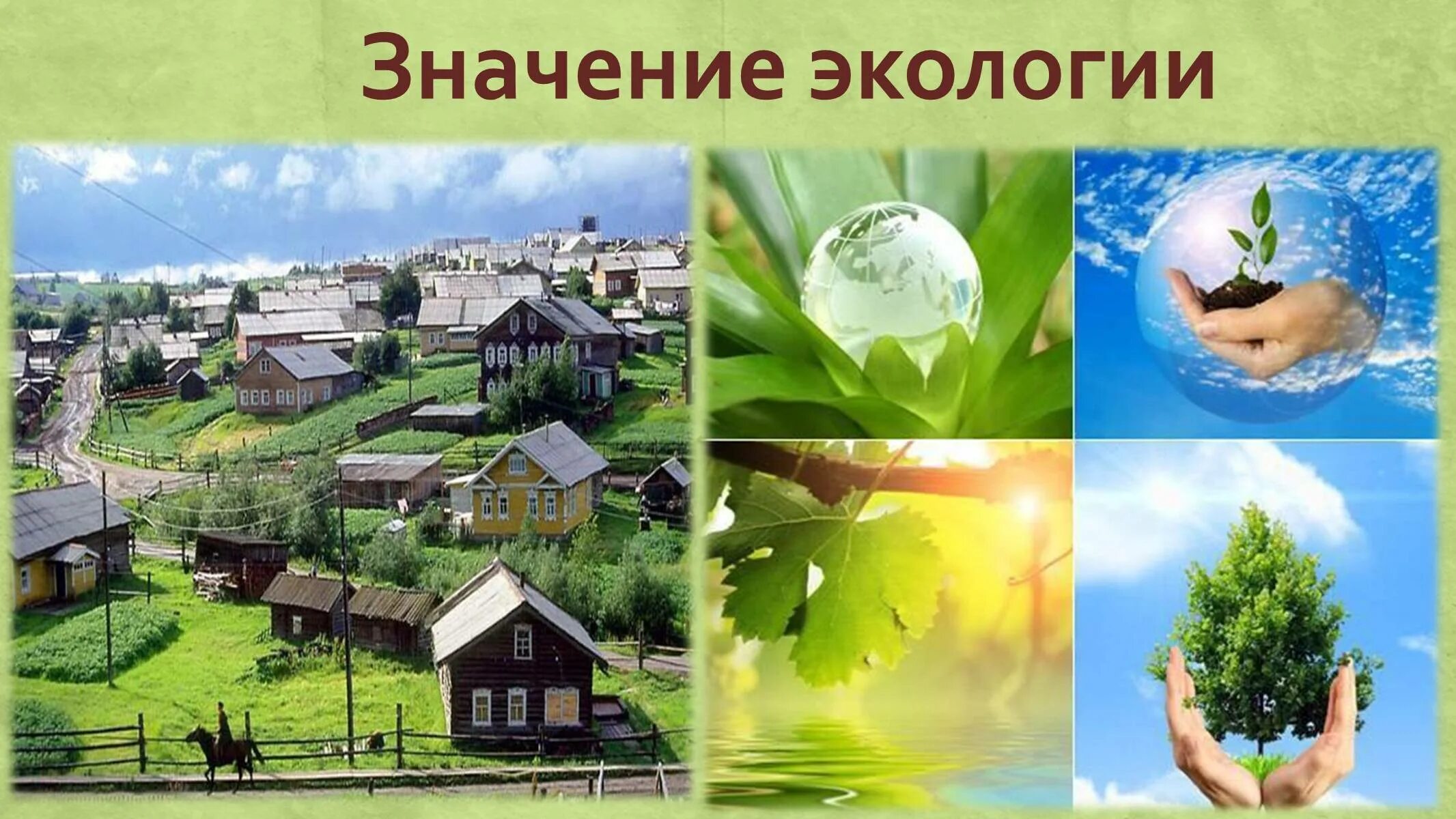 Какова роль экологии в настоящее. Значение экологии для человека. Важность экологии. Экологическая значимость. Экологическое значение.