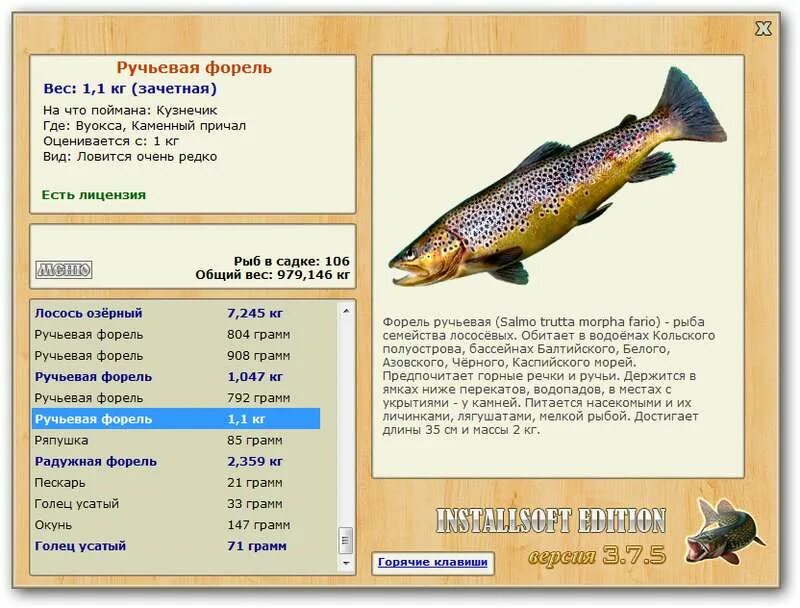 рыба семейства лососевых 5. дальневосточная рыба семейства лососевых 6 букв. лососевые энциклопедия. рыба семейства лососевых голец. крупная рыба семейства лососевых 5.