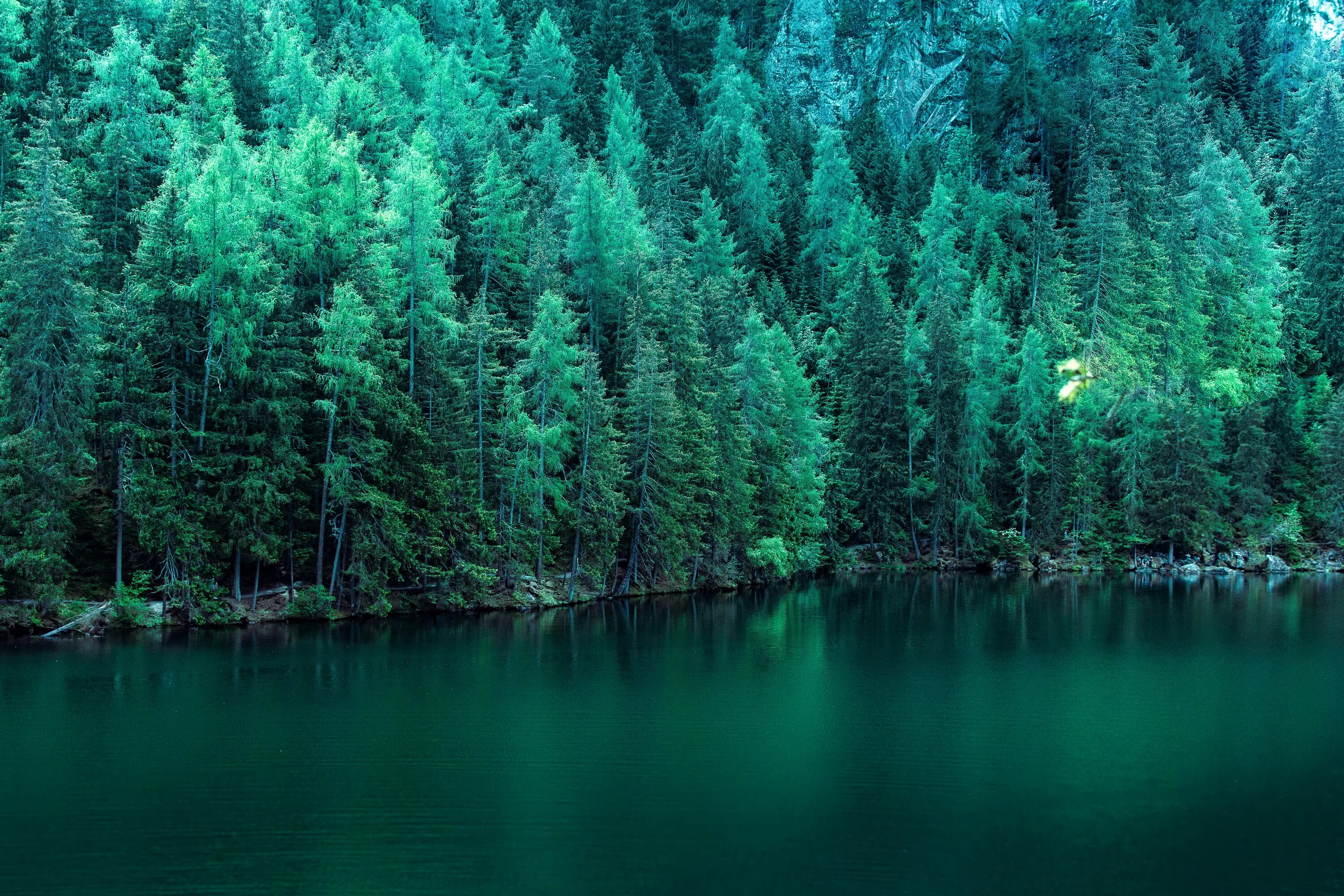 Цвет хвойный лес. Изумрудное озеро зеленолес. Малахитовый лес. Изумрудные озера Морейн. Изумруд лес изумруд лес.