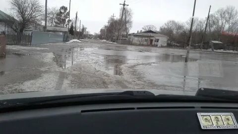 Прогноз староалейское алтайского