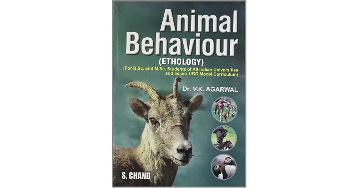 Animal behaviour. Animal behavior. этология животных учебник. animal behavior research protocols. ethology animal behavior tapir.