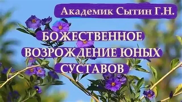 Настрои сытина на оздоровление мужчин. Настрой Сытина на оздоровление головы. Сытин Бахтин тотально исцеление матки. Видео настрой Сытина на восстановление женской энергии.