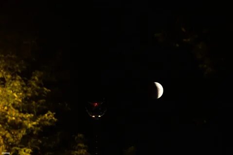 Лунное затмение сегодня во сколько в крыму