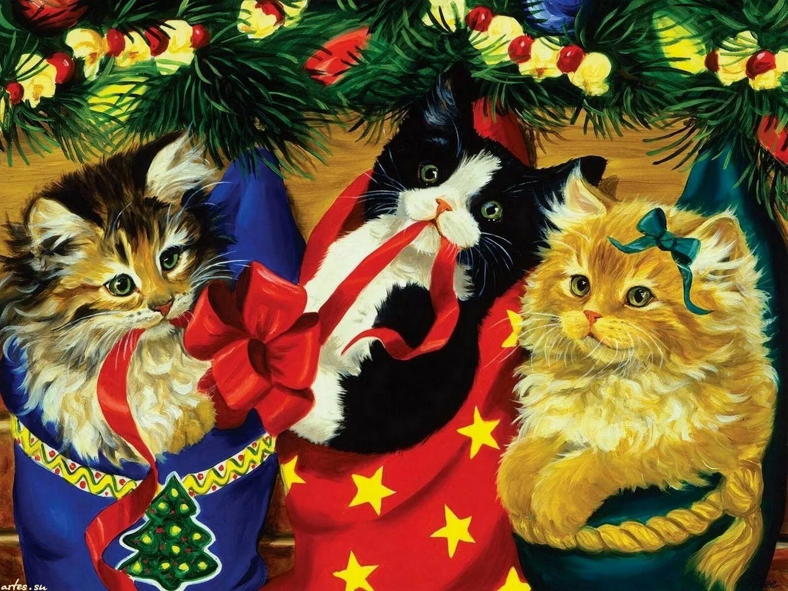 праздничные коты. новогодняя кошечка. кошки отмечают новый год. новогодние котята. рождественский кот.