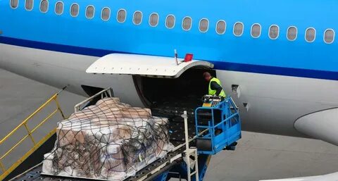 Перевозка людей самолетом