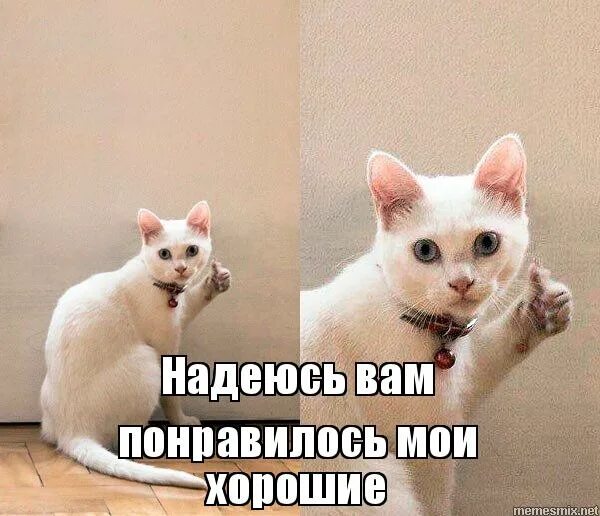 Надеюсь быть полезной