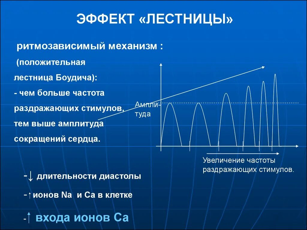 Лестница Боудича. Эффект лестницы Боудича. Амплитуда сокращений сердца. Лестница Боудича физиология.