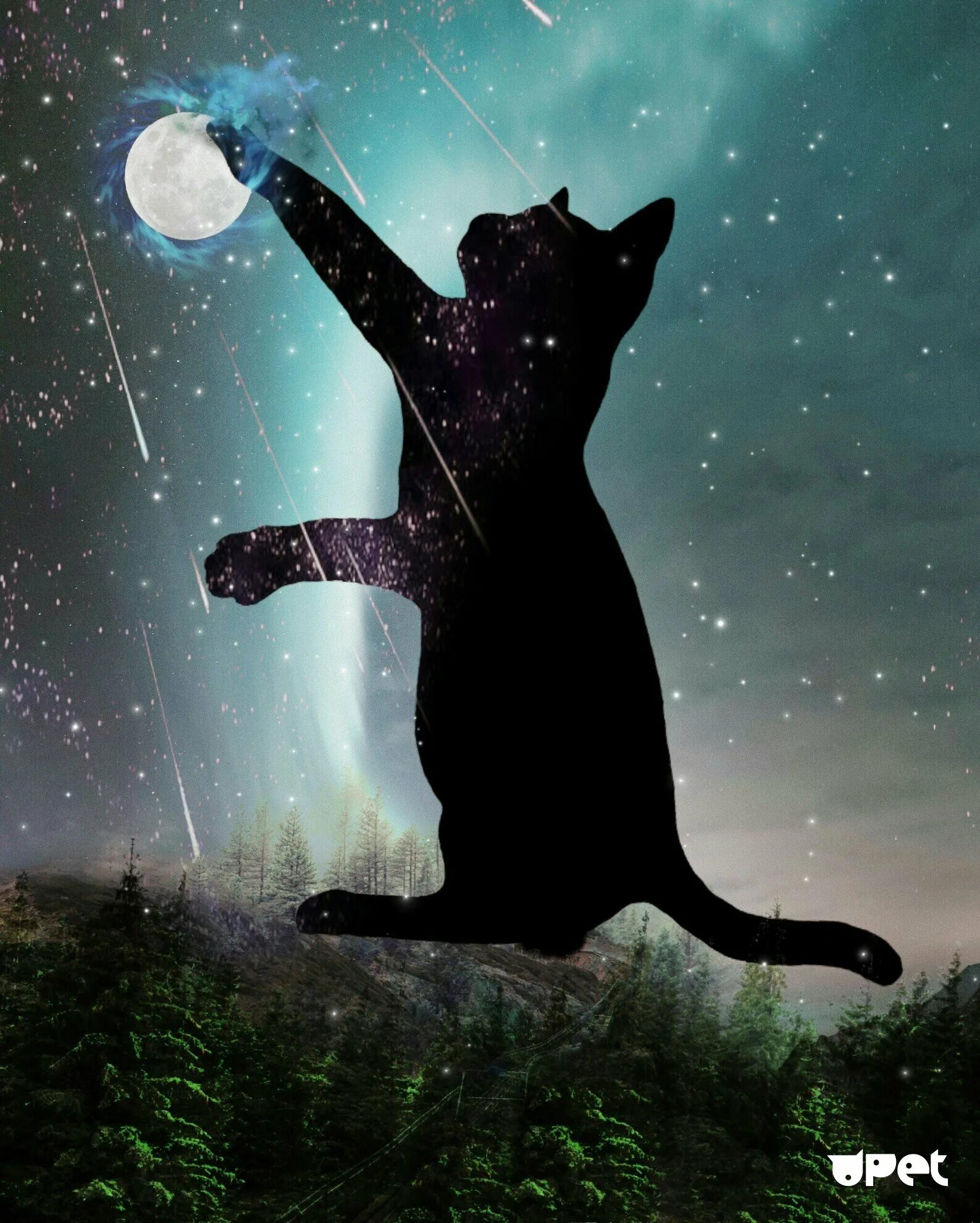 Коты играют ночью. Коты играют ночью. Шахматы красивые. Шахматы кошки. Кот играет в шахматы.