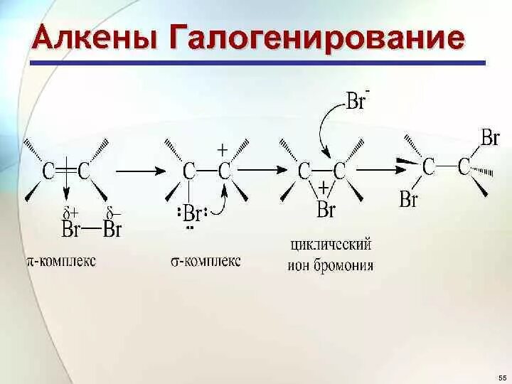 Реакция галогенирования алкена. Галогенирование алкенов механизм. Механизм реакции галогенирования алкенов. Гидрогалогенирование алкенов механизм. Бромирование алкенов механизм реакции.