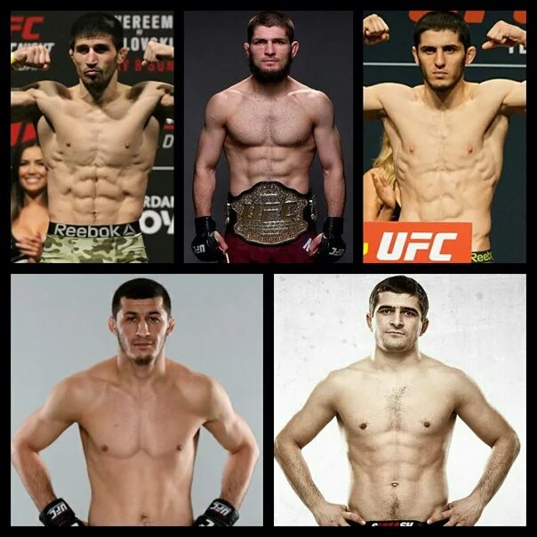 Топ бойцы UFC легкий вес. Бойцы легкого веса. Легкая весовая категория юфс. Бойцы UFC легкий вес. Топ легчайшего веса
