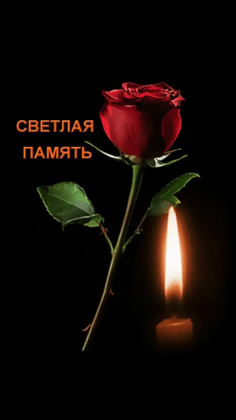 Соболезнование помним скорбим. Соболезнование помним скорбим