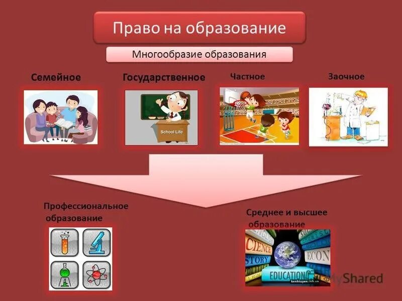 Семейное образование является. Семейное образование реклама. семейное обучение реклама. семейное и образовательное право. многообразие образования.