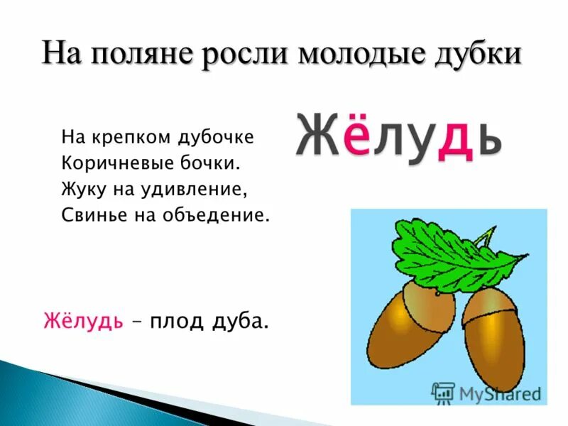 Орехи для детей съедобная. Плоды слово. Плод составить предложение. Плот плод омофоны. Загадка к слову абрикос.