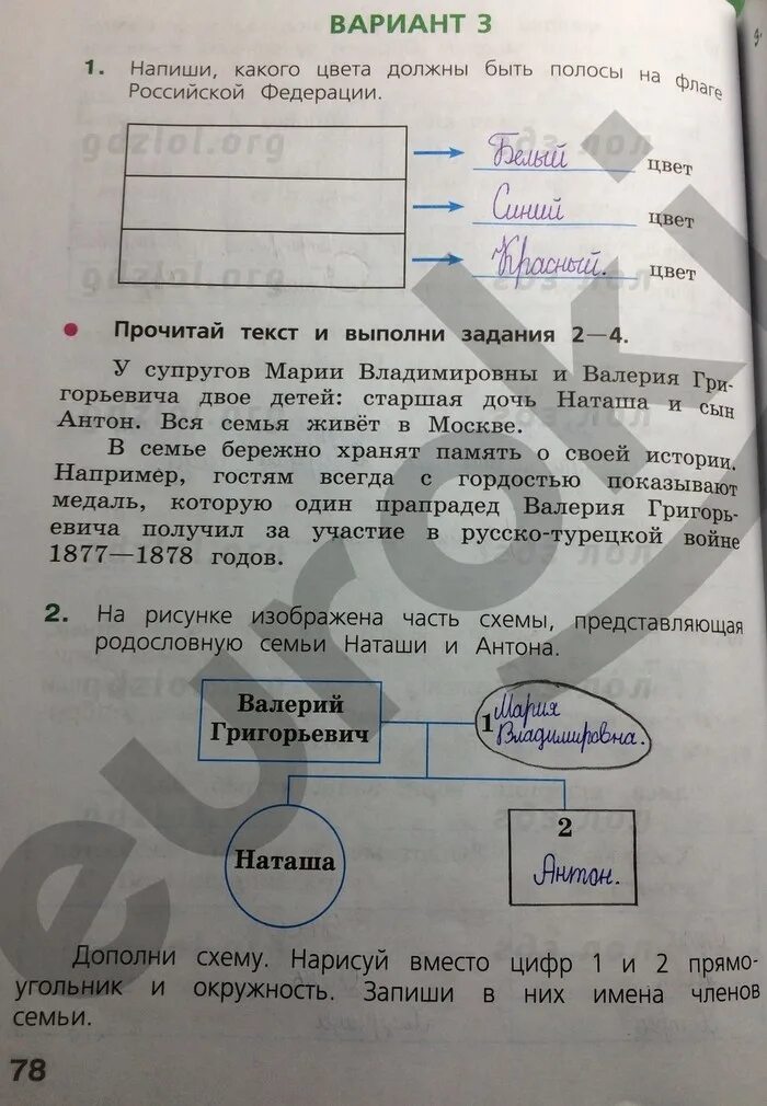 Тетрадь по впр окружающий мир 4 класс. Впр по окружающему задания. задания по впр 4 класс окружающий мир. впр 4 класс окружающий мир с ответами. впр задание по родословной.