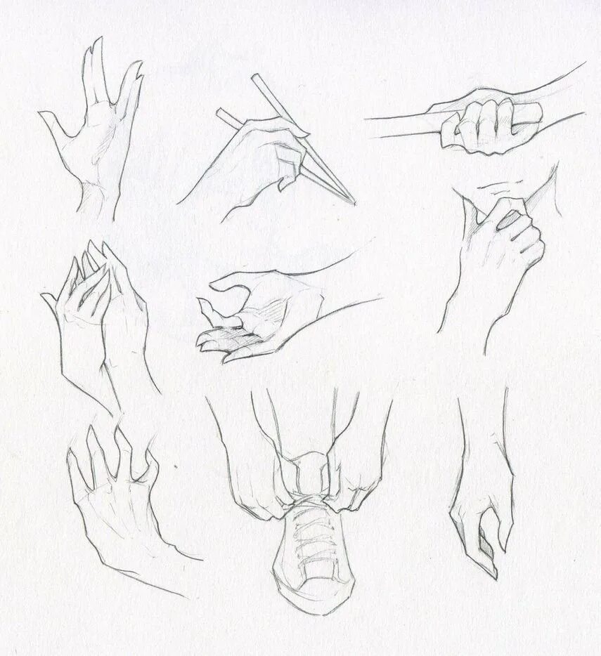 Груки. Уроки рисования рук. Наброски кистей рук. Схема рисования рук. Анатомия человека для рисования руки.