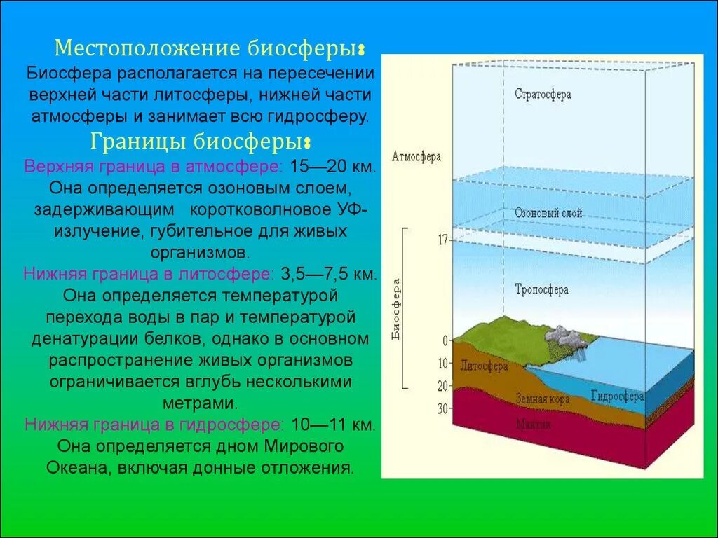 Атмосфера гидросфера Тропосфера. Стратосфера гидросфера литосфера. Биосфера. Атмосфера, границы жизни. Граница биосферы в атмосфере.