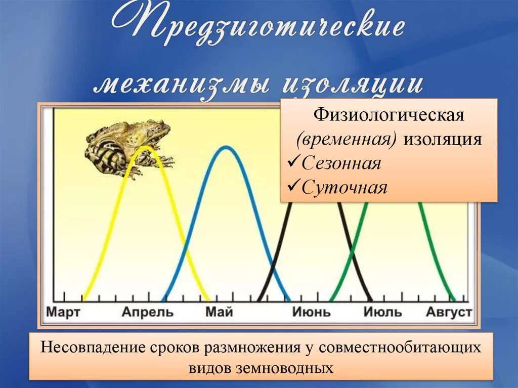 Примеры временной изоляции. Физиологическая изоляция. Предзиготические механизмы изоляции. Физиологическая изоляция примеры. Изоляция и развитие