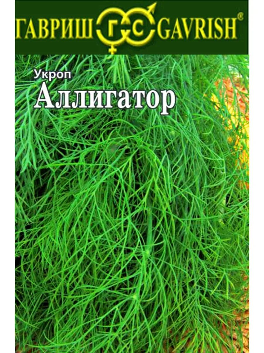 Укроп аллигатор описание. Семена укроп Аллигатор. Укроп Аллигатор Гавриш. Укроп Аллигатор (1уп-50 гр). Укроп сорт Аллигатор.