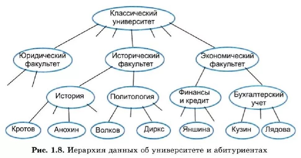 Информационная модель школы. Структурная модель примеры Информатика. Иерархия данных об университете и абитуриентах. Информационная модель школа в графической и табличной форме. Структурная модель предметной области 11 класс.