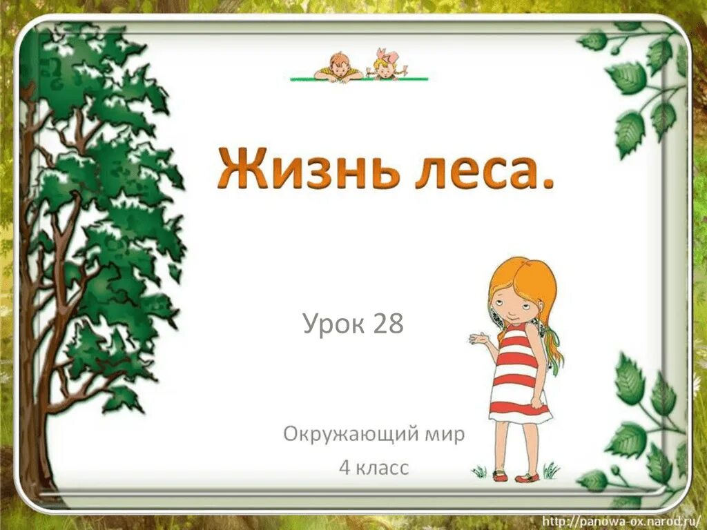 Жизнь леса окружающий мир. Жизнь леса 4 класс. Окружающий мир презентация. Жизнь леса 4 класс окружающий мир.