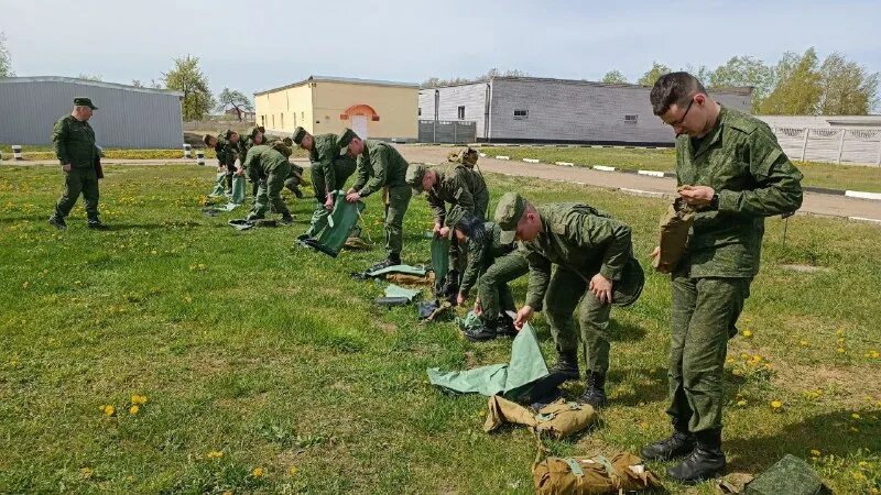 крупки жодино