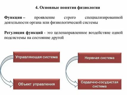 Физиологическая роль понятие