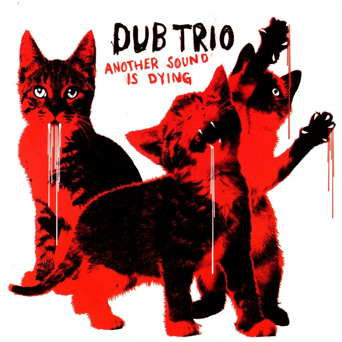 Another sound. Dub Trio. Даб трио и Майк Паттон. Rolling Dub Trio. The Shape of Dub to come Dub Trio.