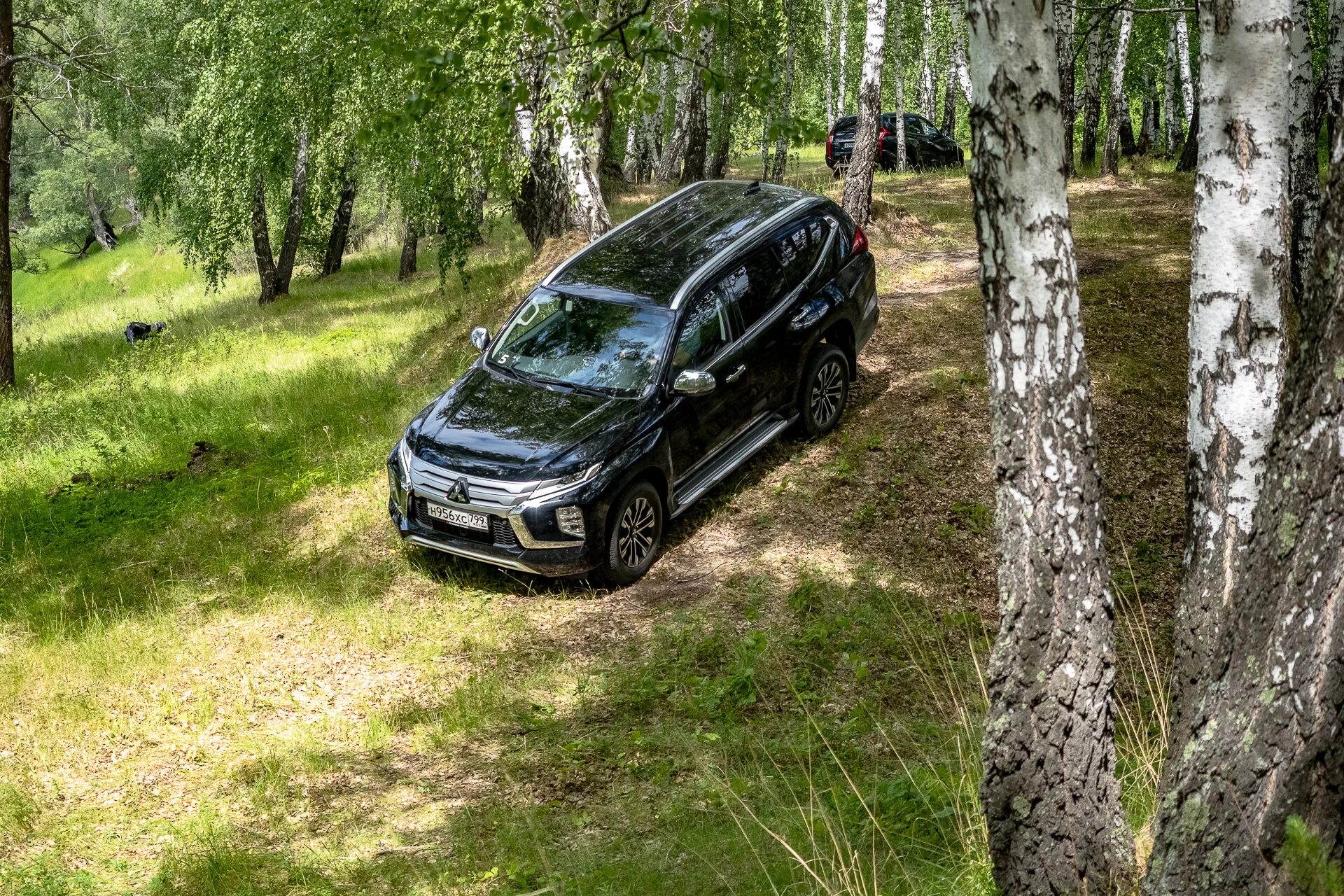 Форестер тест драйвы. Митсубиси Паджеро спорт 2021. Mitsubishi Pajero Sport 2021. Pajero Sport QX. Паджеро спорт 2022.