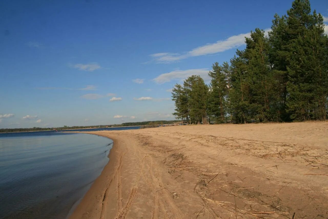 Песчаный берег озера. Селигер Городомля коса. Пляж в Осташкове на Селигере. Песчаная коса Городомля. Майская коса на Селигере.