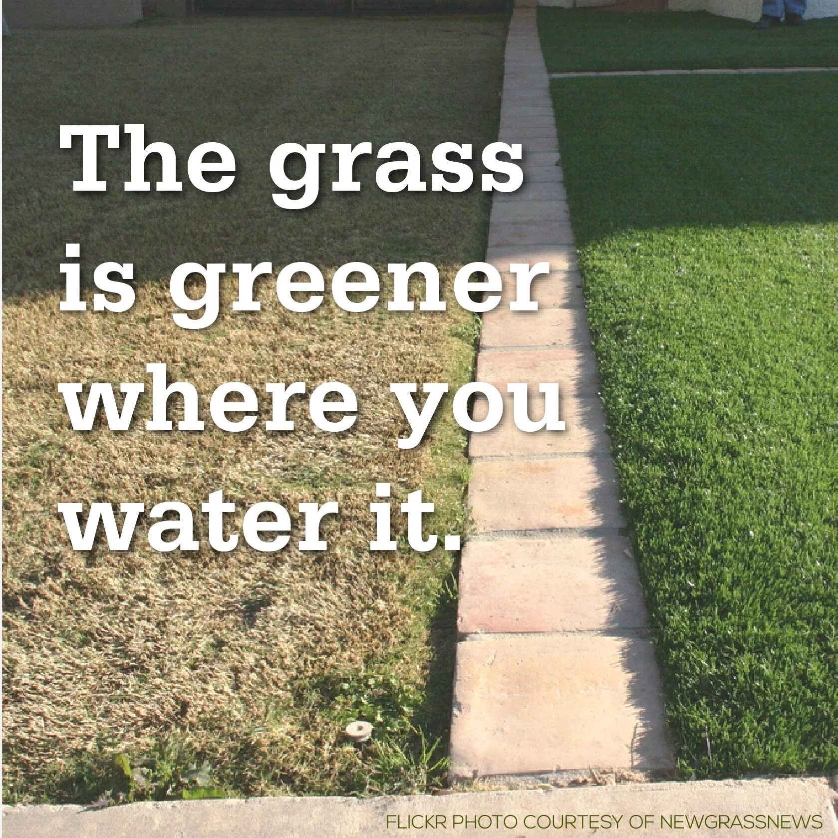 Grass greener on the other side. The grass is always greener on the other side. greener grass. пословица the grass is always greener. the grass is always greener on the other side of the fence идиомы.