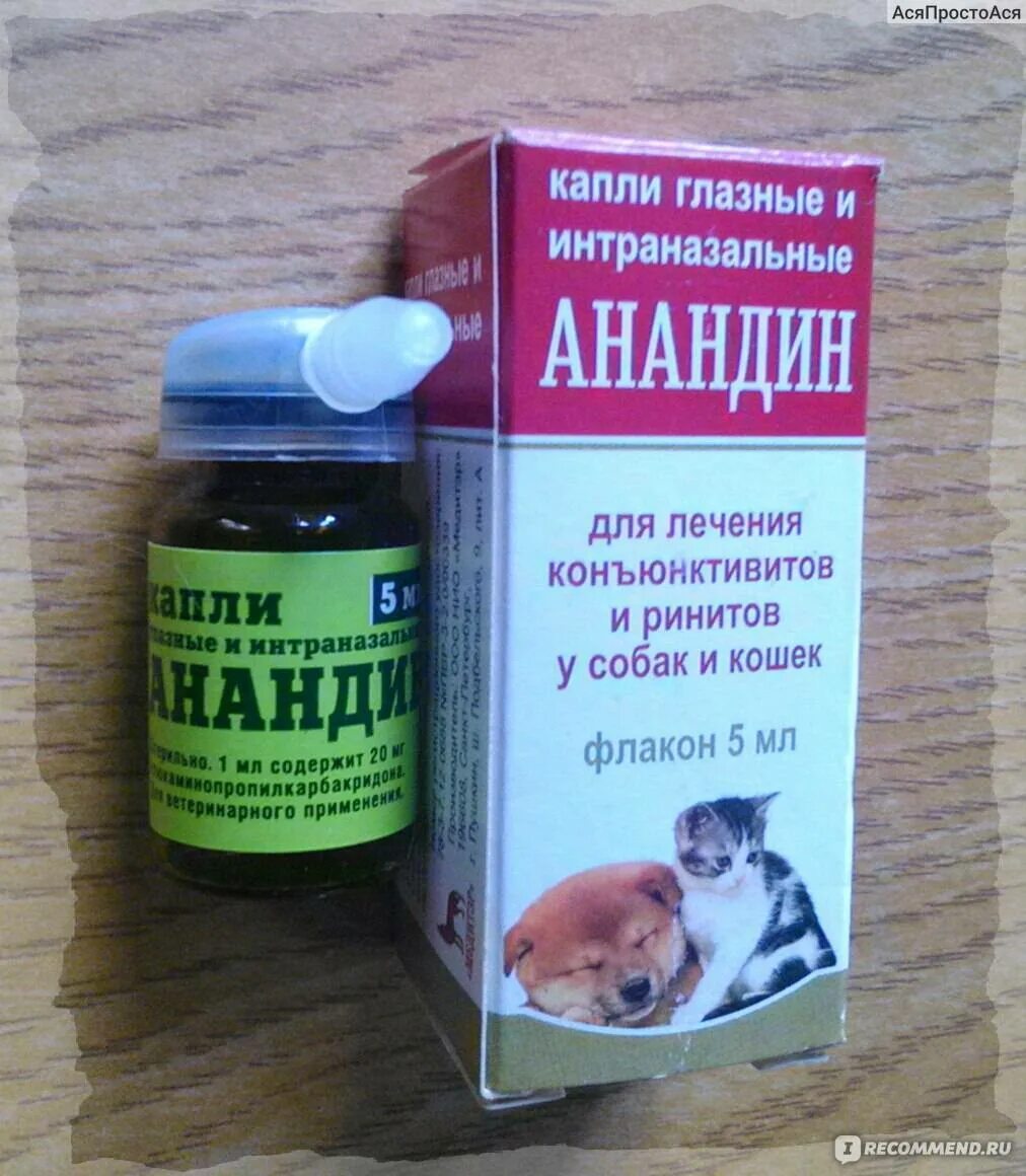 Анандин ушные. Анандин интраназальные. анандин для кошек капли глазные. анандин глазные капли 5 мл. глазные капли анандин для кота.