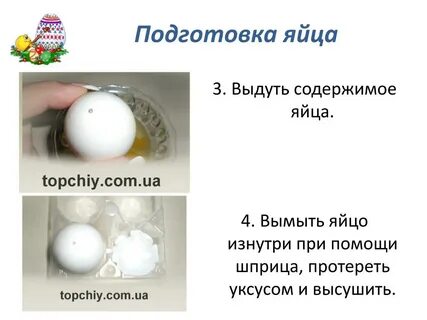 Яичная скорлупа выводит радиацию после рентгена