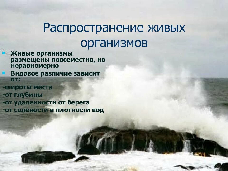 Какие факторы влияют на жизнь в океане. Распространение живых организмов. распространение живых организмов в океане. распространение живых организмов в океане 6 класс. распространение живых организмов в океане зависит.