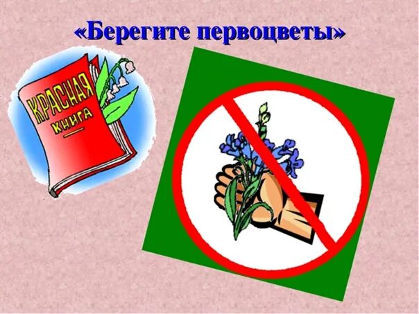 Берегите растения красной книги. Берегите первоцветы. надпись сюерегите первоцвет. плакат берегите первоцветы. надпись берегите первоцветы.