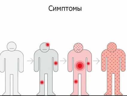 Загрязнения организма