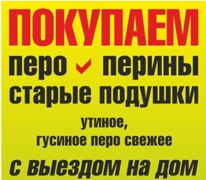 Купим старые подушки. Где принимают пух перо. Пух перо принимаем. Скупка пуха пера. Закуп пуха реклама.