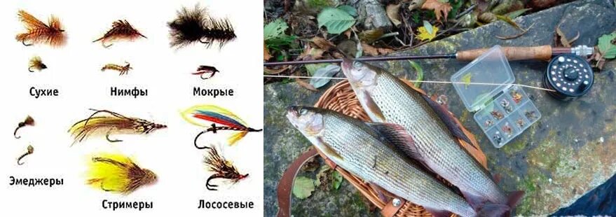 Какие приманки на хариуса Лучшие наживки и приманки для ловли хариуса на что и какие снасти ловить зимой