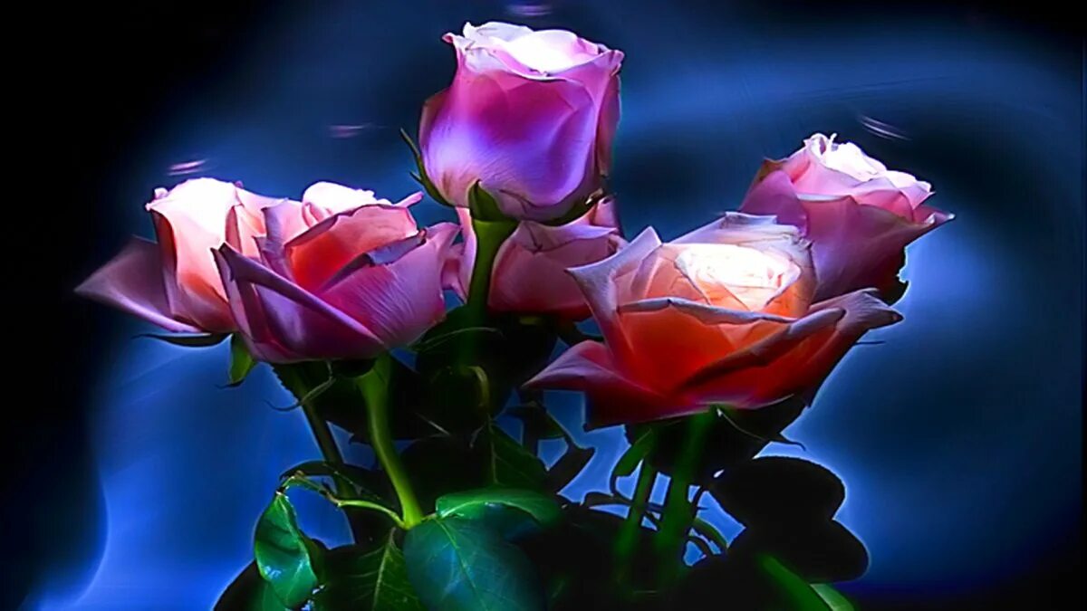 Очаровательной ночи. Розы ночью. Открытки добрый вечер. Добрый вечер цветы красивые.