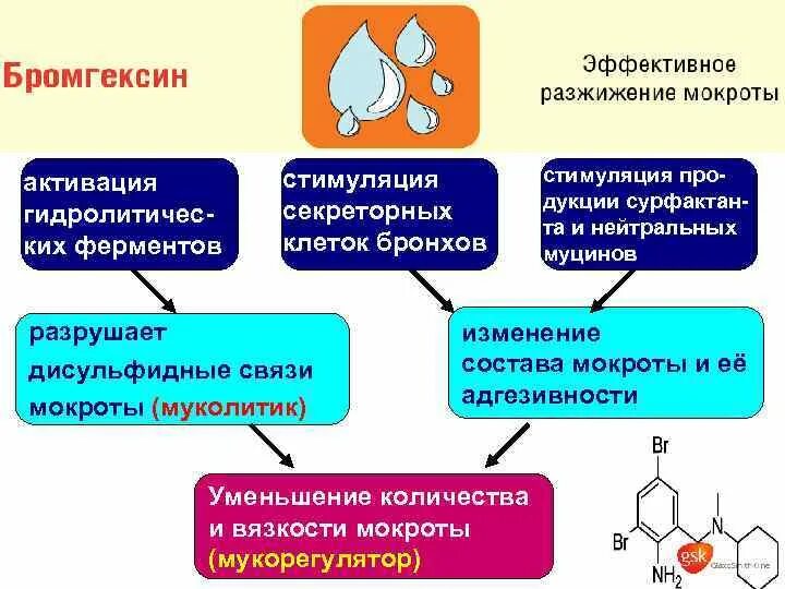 Мокрота разжижающие средства взрослым. Трехслойная мокрота характерна для. Вязкость мокроты уменьшается. Вязкость мокроты уменьшается при назначении следующих препаратов. Трехслойность мокроты характерна для.