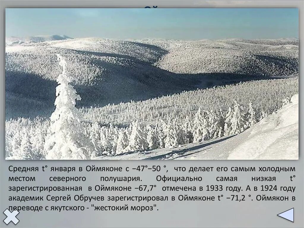 Тайга высота над уровнем моря. Оймякон полюс холода Северного полушария. Оймякон презентация. Оймякон климатический пояс.